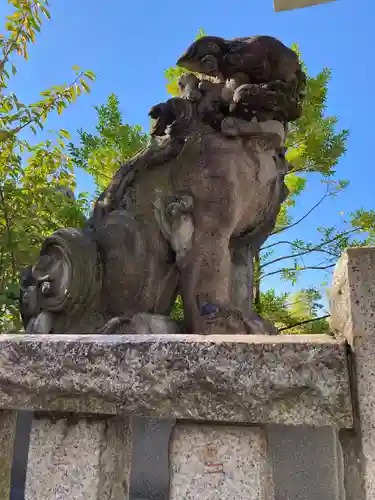 東神奈川熊野神社の狛犬