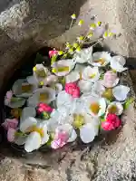 岡部春日神社~👹鬼門よけの🌺花咲く🌺やしろ~(福島県)