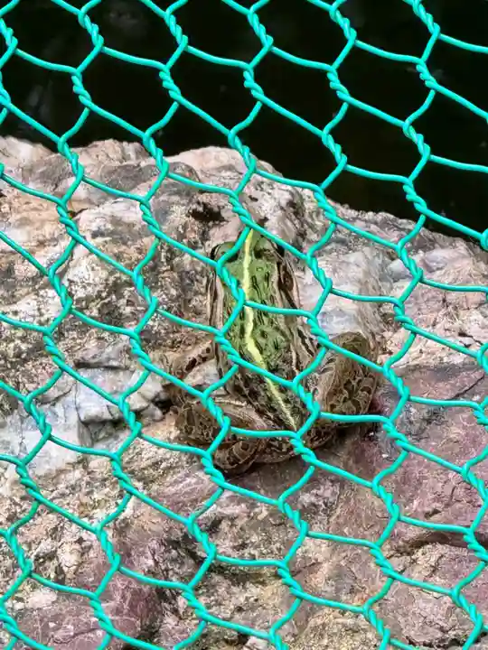 彌美神社(福井県)