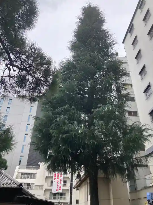 髙福院(東京都)