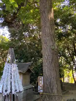 篠原八幡神社のその他建物