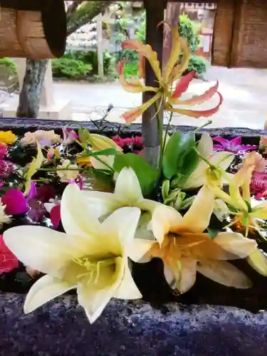 鳩森八幡神社の手水舎