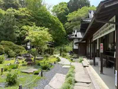 観音寺の{uncategorized: "未分類", other: "その他", undefined: "問題あり", building: "その他建物", grave: "お墓", sacred_gate: "鳥居", guardian: "狛犬", statue: "像", buddha: "仏像", history: "歴史", nature: "自然", garden: "庭園", animal: "動物", pagoda: "塔", temizu: "手水舎", mountain_gate: "山門・神門", sanctuary: "本殿・本堂", subordinate: "末社・摂社", art: "芸術", scenery: "景色", jizo: "地蔵", ema: "絵馬", goshuin: "御朱印", omikuji: "おみくじ", items: "授与品その他", amulet: "お守り", goshuincho: "御朱印帳", eats: "食事", festival: "お祭り", votive_dance: "神楽", shichigosan: "七五三参", wedding: "結婚式", experience: "体験その他", initially: "初詣", around: "周辺", anti_infection: "感染症対策"}