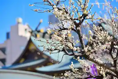 湯島天満宮(東京都)
