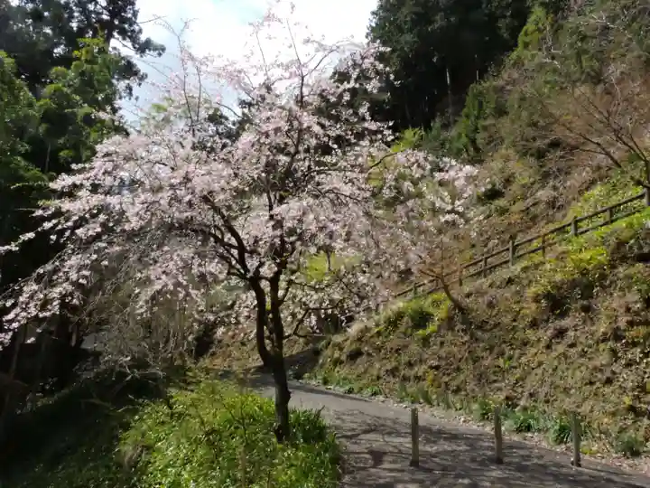 横蔵寺(岐阜県)
