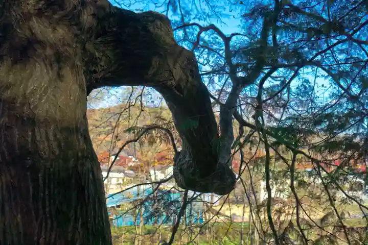 千野川社(長野県)