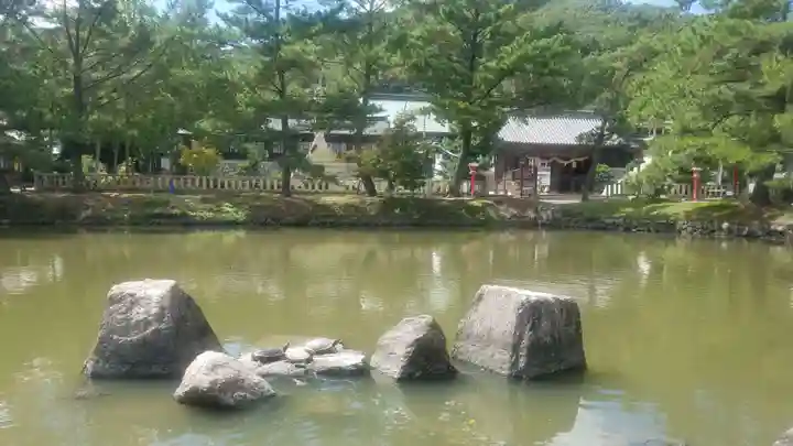 吉備津彦神社の動物