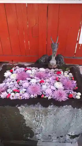 白岡八幡神社の手水