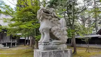 上川神社の狛犬
