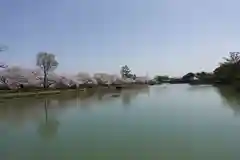 長岡天満宮の周辺