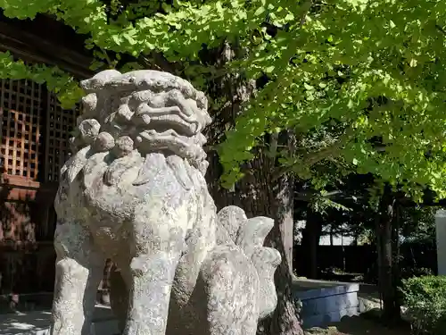 御坂神社の狛犬