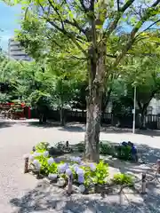 三社神社(大阪府)