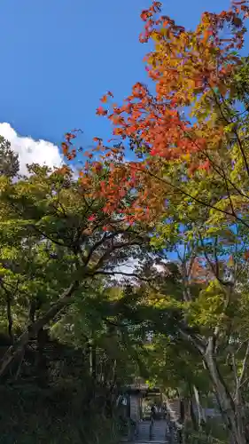 化野念仏寺(京都府)