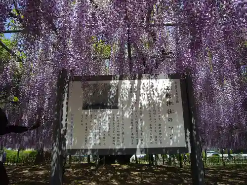 玉敷神社(埼玉県)