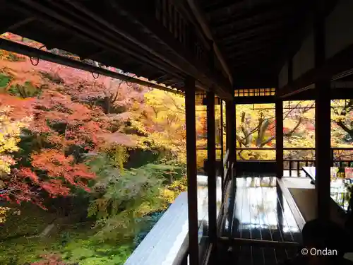 光明寺瑠璃光院(京都府)