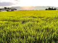 岩崎神社(長野県)