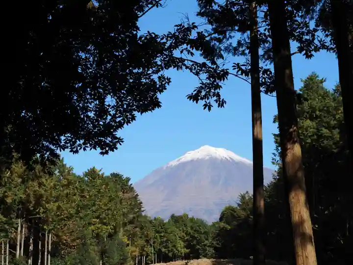 山宮浅間神社の本殿・本堂