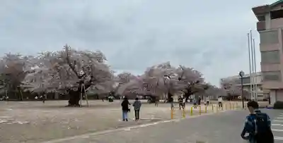 鹿島神社(茨城県)
