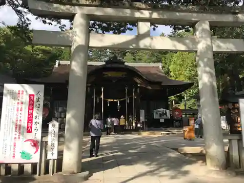 武田神社の鳥居