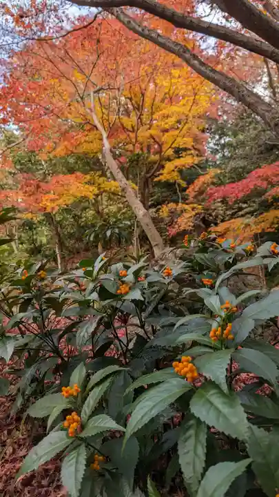 法金剛院(京都府)