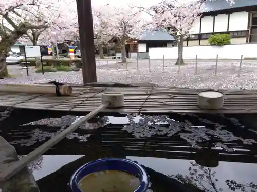 毫攝寺(福井県)