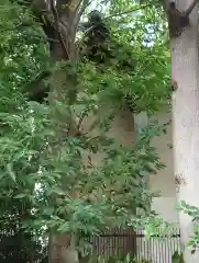 田端神社(東京都)