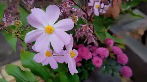阿邪訶根神社の手水舎