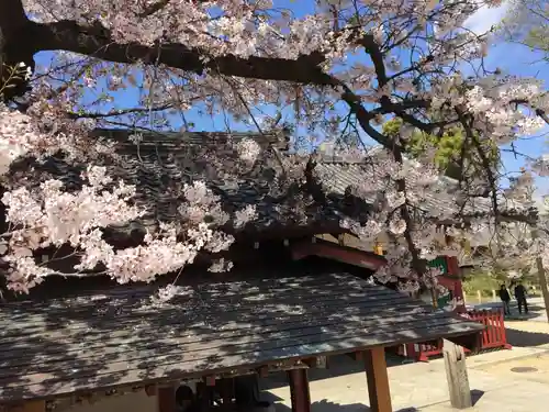 四天王寺の自然