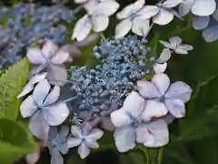 石清水神社の自然