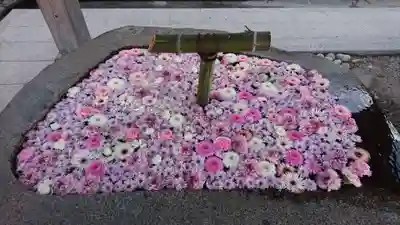 荘内神社の手水舎