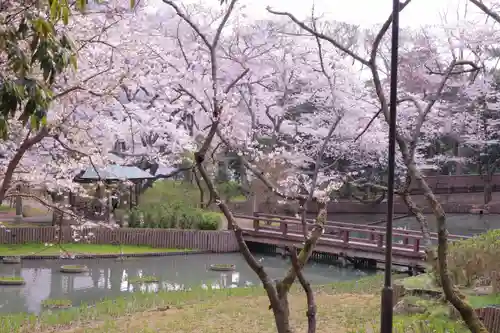 出雲大社の庭園