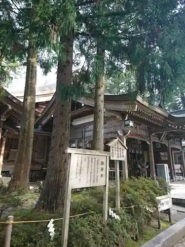 白山比咩神社のその他建物