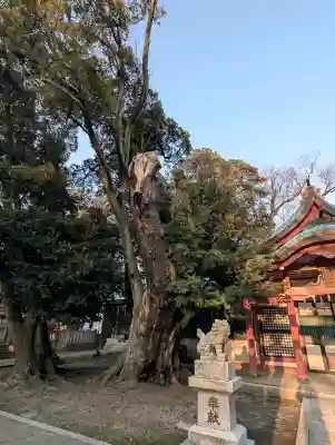 角鹿神社の{uncategorized: "未分類", other: "その他", undefined: "問題あり", building: "その他建物", grave: "お墓", sacred_gate: "鳥居", guardian: "狛犬", statue: "像", buddha: "仏像", history: "歴史", nature: "自然", garden: "庭園", animal: "動物", pagoda: "塔", temizu: "手水舎", mountain_gate: "山門・神門", sanctuary: "本殿・本堂", subordinate: "末社・摂社", art: "芸術", scenery: "景色", jizo: "地蔵", ema: "絵馬", goshuin: "御朱印", omikuji: "おみくじ", items: "授与品その他", amulet: "お守り", goshuincho: "御朱印帳", eats: "食事", festival: "お祭り", votive_dance: "神楽", shichigosan: "七五三参", wedding: "結婚式", experience: "体験その他", initially: "初詣", around: "周辺", anti_infection: "感染症対策"}