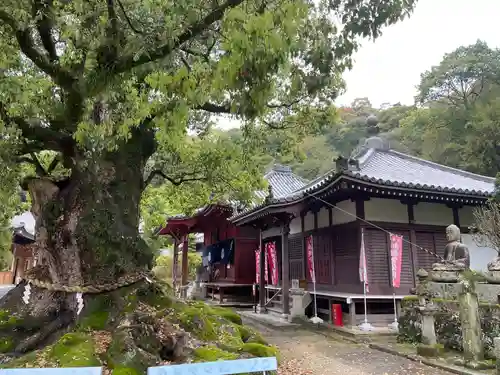 観音寺(香川県)