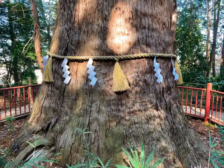 麻賀多神社の自然