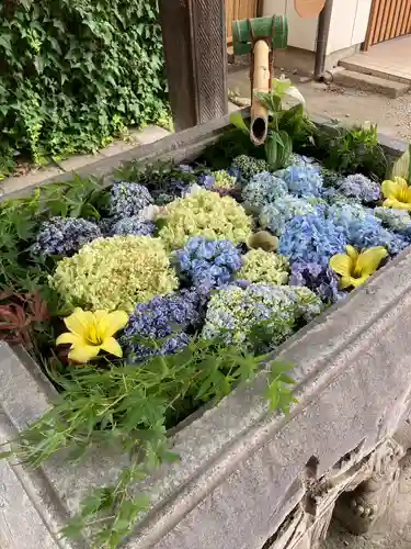 於菊稲荷神社の手水