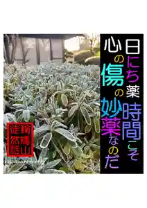 耕田院(山形県)(2024年03月08日(金) 04時50分57秒投稿)