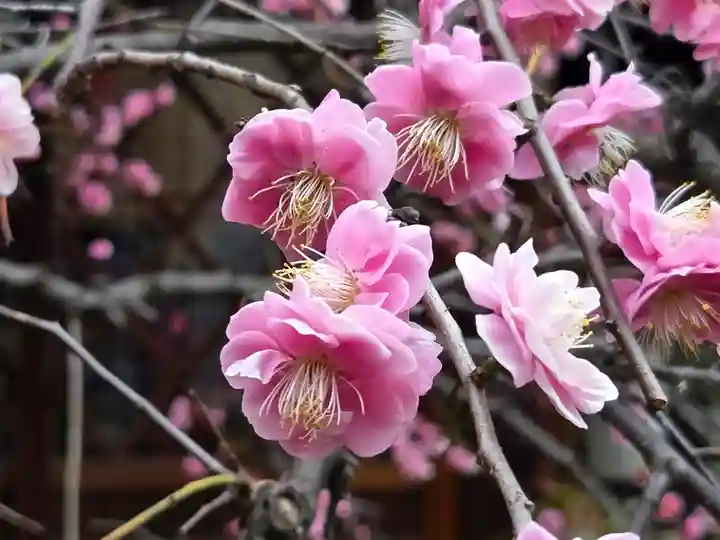 一宮神社(兵庫県)