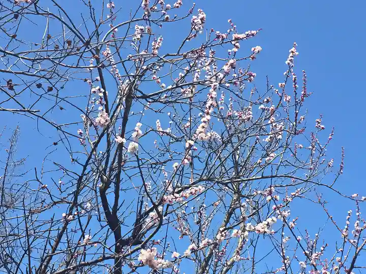 小松寺(大阪府)