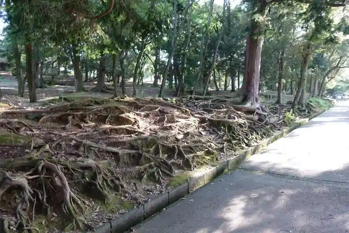 手向山八幡宮(奈良県)