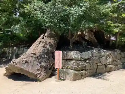 與止日女神社(佐賀県)