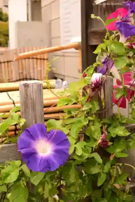 【閉業】小石川大神宮(東京都)