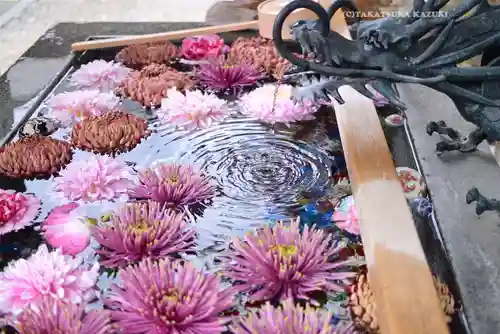 蛇窪神社(東京都)