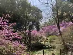 廣田神社の自然