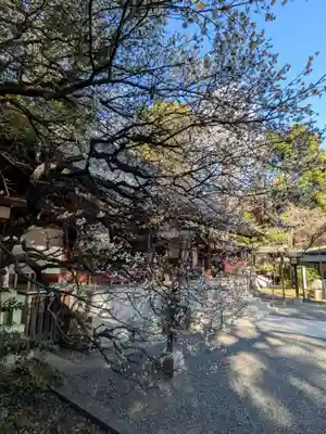 乃木神社(東京都)