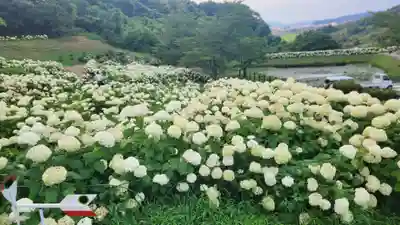 陽林寺(福島県)