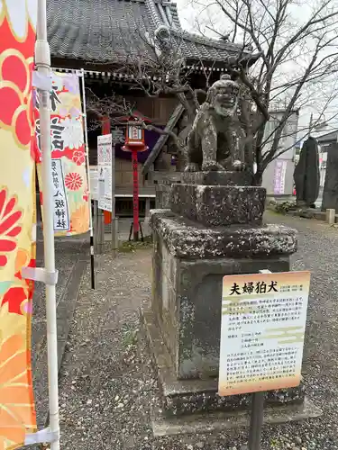 龍ケ崎八坂神社の狛犬