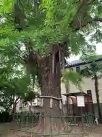 神明寺(千葉県)