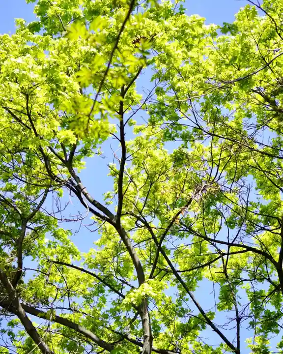 伊達神社の自然