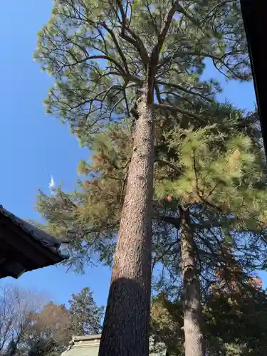 大宝八幡宮(茨城県)